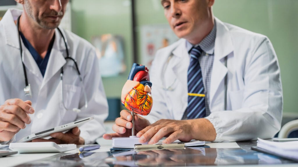 Two male doctors discussing while looking at a model human heart.